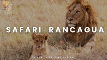 SAFARI RANCAGUA